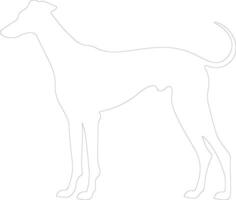 galgo contorno silueta vector