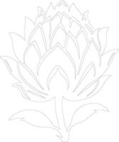 artichoke  outline silhouette vector