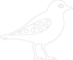 American golden plover  outline silhouette vector