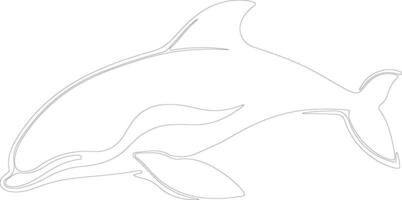 Dallsporpoise outline silhouette vector