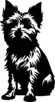 australiano terrier negro silueta vector