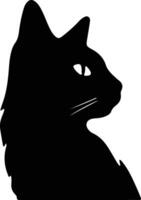 Singapura Cat  silhouette portrait vector