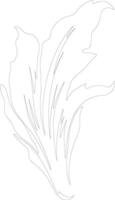 endive  outline silhouette vector