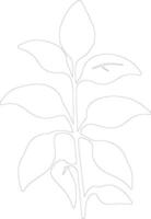 albahaca contorno silueta vector