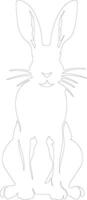 hare  outline silhouette vector