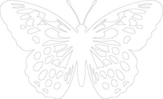 Oregon silverspot butterfly outline silhouette vector