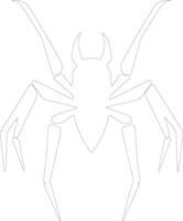 assassin bug  outline silhouette vector