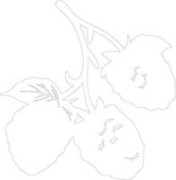 raspberry  outline silhouette vector