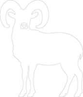 dallsheep outline silhouette vector