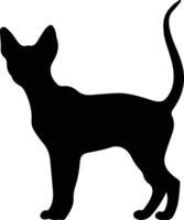 Cornish Rex Cat  black silhouette vector