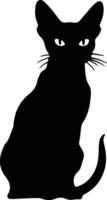 Devon Rex Cat  black silhouette vector