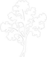 kale  outline silhouette vector