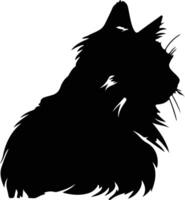 Siberian Cat  silhouette portrait vector