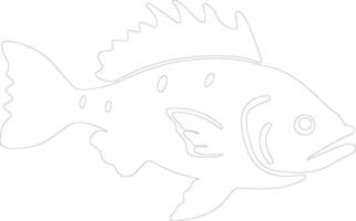 grouper  outline silhouette vector