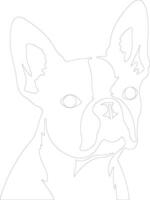 Boston Terrier  outline silhouette vector