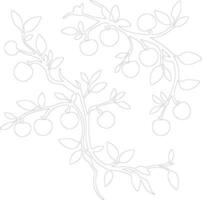 crabapple  outline silhouette vector