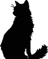 Nebelung Cat  black silhouette vector