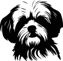 Maltese  silhouette portrait vector