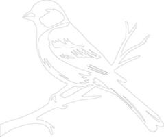 tree sparrow    outline silhouette vector