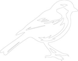 American tree sparrow  outline silhouette vector