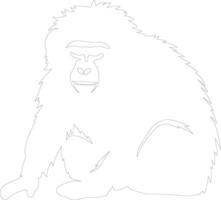babuino contorno silueta vector
