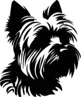 Yorkshire Terrier  silhouette portrait vector