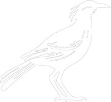 roadrunner   outline silhouette vector