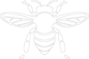 honey bee  outline silhouette vector