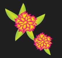 A close-up of flowers and black background vector