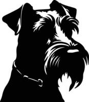 estándar Schnauzer negro silueta vector