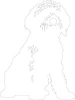 Spanish Water Dog outline silhouette vector