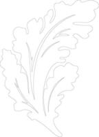 lettuce  outline silhouette vector