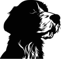 German Wirehaired Pointer  silhouette portrait vector