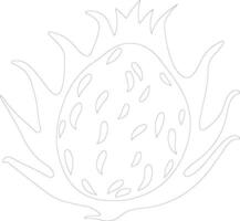 dragon fruit  outline silhouette vector