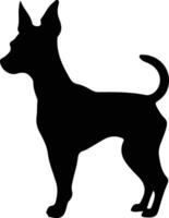 Toy Fox Terrier   black silhouette vector