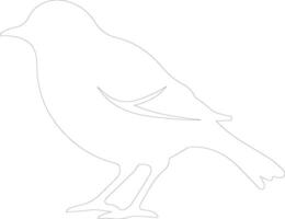 American Robin  outline silhouette vector