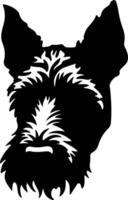 Pumi  silhouette portrait vector