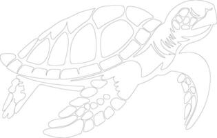 loggerhead turtle  outline silhouette vector