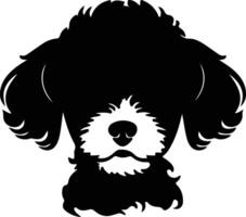 Toy Poodle  silhouette portrait vector