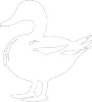 pato real Pato contorno silueta vector