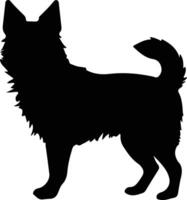 Swedish Vallhund   black silhouette vector