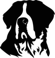 Saint Bernard   black silhouette vector