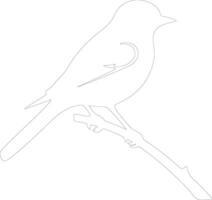 eastern bluebird   outline silhouette vector