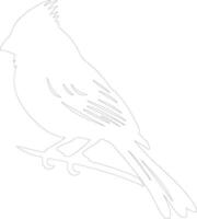 cardenal contorno silueta vector