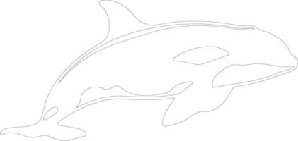 orca  outline silhouette vector