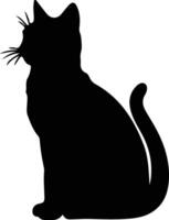 European Shorthair Cat  black silhouette vector