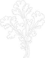 arugula  outline silhouette vector