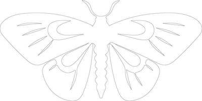 jumping bean moth  outline silhouette vector