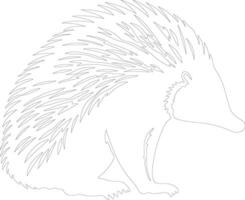 echidna   outline silhouette vector