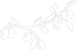 prune  outline silhouette vector